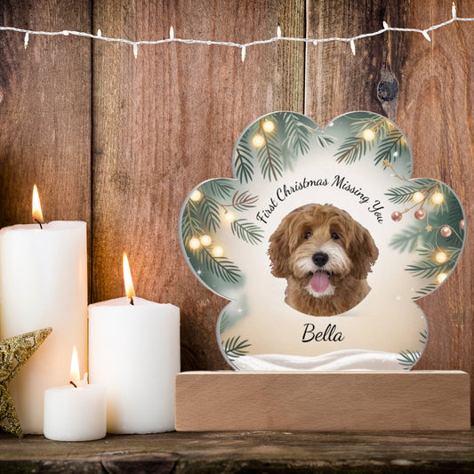 Custom Pet Memorial LED Acrylic | First Christmas Missing You | Personalized Dog & Cat Remembrance Gift