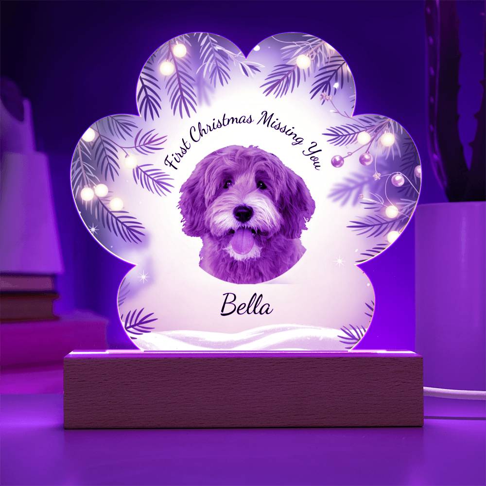 Custom Pet Memorial LED Acrylic | First Christmas Missing You | Personalized Dog & Cat Remembrance Gift
