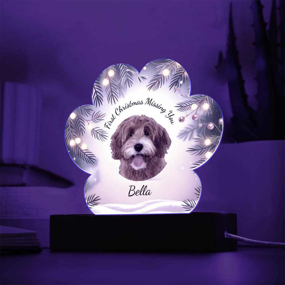 Custom Pet Memorial LED Acrylic | First Christmas Missing You | Personalized Dog & Cat Remembrance Gift
